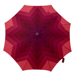 Tri 02 Hook Handle Umbrellas (large) by jumpercat