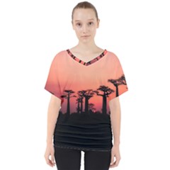 Baobabs Trees Silhouette Landscape V-neck Dolman Drape Top