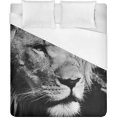 Africa Lion Male Closeup Macro Duvet Cover (california King Size)