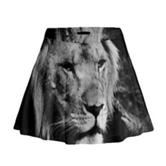 Africa Lion Male Closeup Macro Mini Flare Skirt by BangZart