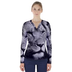 Africa Lion Male Closeup Macro V-neck Long Sleeve Top by BangZart