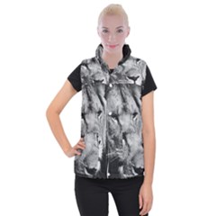 Africa Lion Male Closeup Macro Women s Button Up Puffer Vest by BangZart