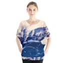 Antarctica Mountains Sunrise Snow Blouse View1