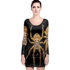 Insect Macro Spider Colombia Long Sleeve Bodycon Dress by BangZart