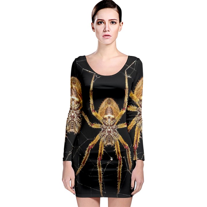 Insect Macro Spider Colombia Long Sleeve Bodycon Dress