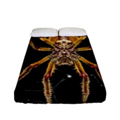 Insect Macro Spider Colombia Fitted Sheet (full/ Double Size) by BangZart