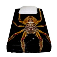 Insect Macro Spider Colombia Fitted Sheet (single Size) by BangZart