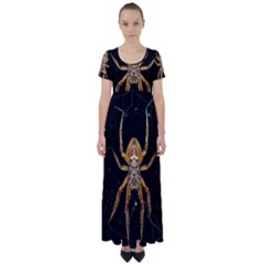 Insect Macro Spider Colombia High Waist Short Sleeve Maxi Dress