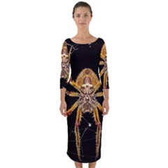 Insect Macro Spider Colombia Quarter Sleeve Midi Bodycon Dress by BangZart