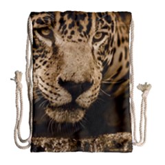 Jaguar Water Stalking Eyes Drawstring Bag (large) by BangZart