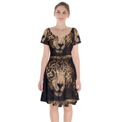 Jaguar Water Stalking Eyes Short Sleeve Bardot Dress