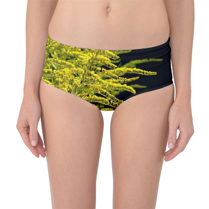 Golden Rod Gold Diamond Mid-Waist Bikini Bottoms