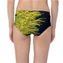 Golden Rod Gold Diamond Mid-Waist Bikini Bottoms View2