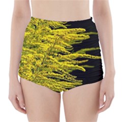 Golden Rod Gold Diamond High-waisted Bikini Bottoms by BangZart