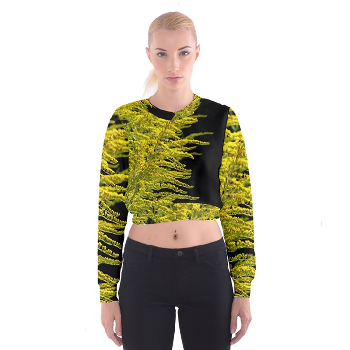 Golden Rod Gold Diamond Cropped Sweatshirt