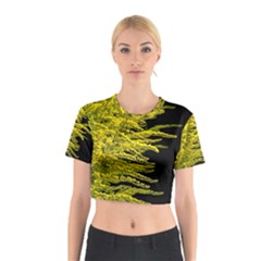 Golden Rod Gold Diamond Cotton Crop Top by BangZart