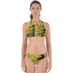 Golden Rod Gold Diamond Perfectly Cut Out Bikini Set by BangZart