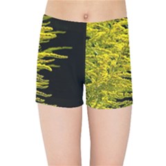 Golden Rod Gold Diamond Kids Sports Shorts by BangZart