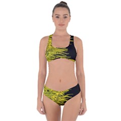 Golden Rod Gold Diamond Criss Cross Bikini Set by BangZart