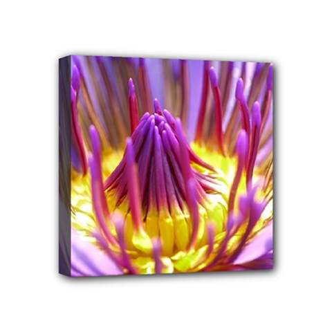 Flower Blossom Bloom Nature Mini Canvas 4  X 4  by BangZart