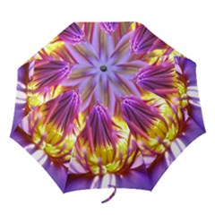 Flower Blossom Bloom Nature Folding Umbrellas by BangZart