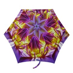 Flower Blossom Bloom Nature Mini Folding Umbrellas by BangZart