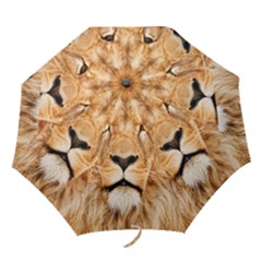 Africa African Animal Cat Close Up Folding Umbrellas by BangZart