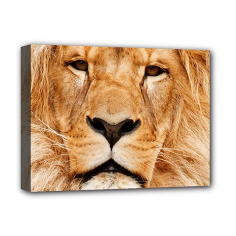 Africa African Animal Cat Close Up Deluxe Canvas 16  X 12   by BangZart