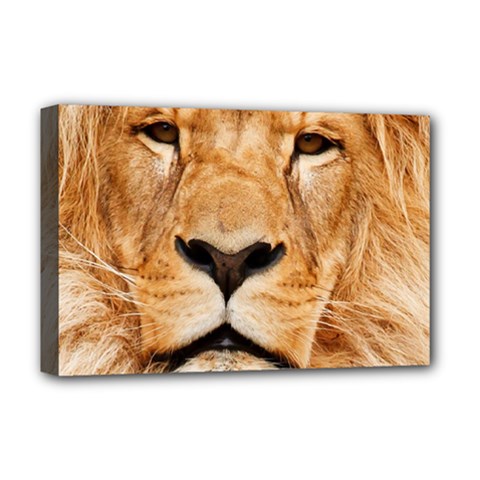 Africa African Animal Cat Close Up Deluxe Canvas 18  X 12   by BangZart