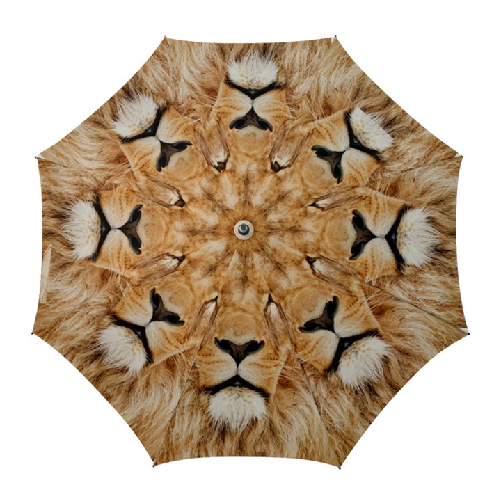 Africa African Animal Cat Close Up Golf Umbrellas