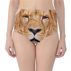 Africa African Animal Cat Close Up High-waist Bikini Bottoms by BangZart