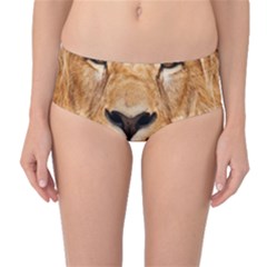 Africa African Animal Cat Close Up Mid-waist Bikini Bottoms by BangZart