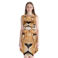 Africa African Animal Cat Close Up Sleeveless Chiffon Dress   by BangZart