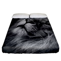 Feline Lion Tawny African Zoo Fitted Sheet (california King Size) by BangZart