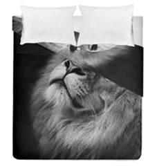 Feline Lion Tawny African Zoo Duvet Cover Double Side (queen Size) by BangZart