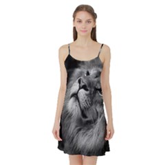 Feline Lion Tawny African Zoo Satin Night Slip by BangZart