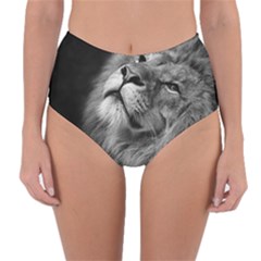 Feline Lion Tawny African Zoo Reversible High-waist Bikini Bottoms