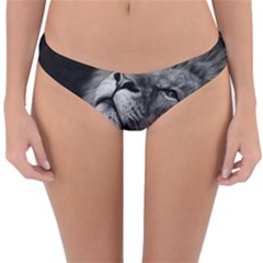 Feline Lion Tawny African Zoo Reversible Hipster Bikini Bottoms by BangZart