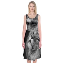 Feline Lion Tawny African Zoo Midi Sleeveless Dress by BangZart