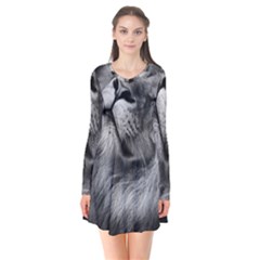 Feline Lion Tawny African Zoo Flare Dress by BangZart