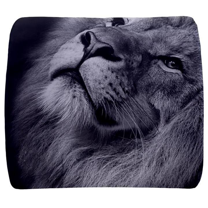 Feline Lion Tawny African Zoo Back Support Cushion