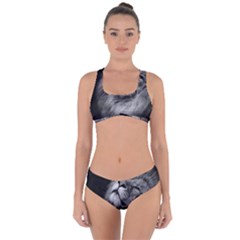 Feline Lion Tawny African Zoo Criss Cross Bikini Set by BangZart