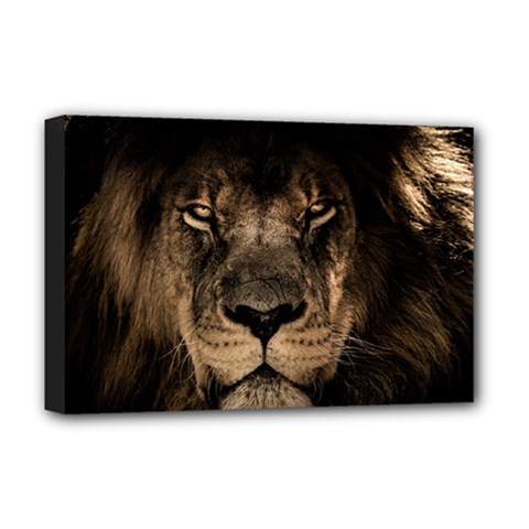 African Lion Mane Close Eyes Deluxe Canvas 18  X 12   by BangZart