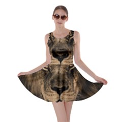 African Lion Mane Close Eyes Skater Dress by BangZart