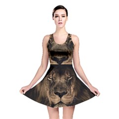 African Lion Mane Close Eyes Reversible Skater Dress by BangZart