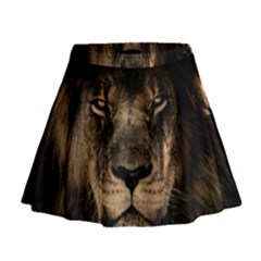 African Lion Mane Close Eyes Mini Flare Skirt by BangZart