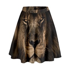 African Lion Mane Close Eyes High Waist Skirt by BangZart