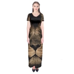 African Lion Mane Close Eyes Short Sleeve Maxi Dress by BangZart