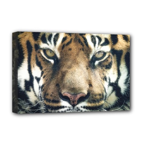 Tiger Bengal Stripes Eyes Close Deluxe Canvas 18  X 12  