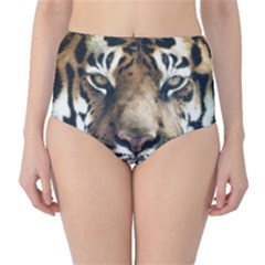 Tiger Bengal Stripes Eyes Close High-waist Bikini Bottoms by BangZart